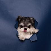 缘来是我的个人资料头像