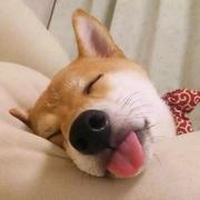 卋罖886的个人资料头像