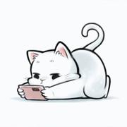 沐玖的个人资料头像