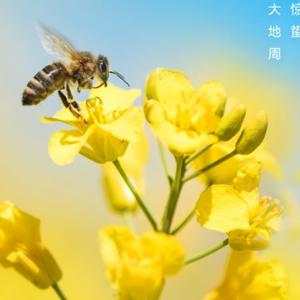 爱Sammul51头像