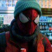 飞蛛的个人资料头像