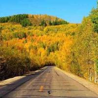 快乐在旅途1头像