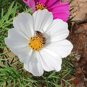 JamesL147的个人资料头像