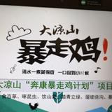 大凉山奔康暴走鸡头像