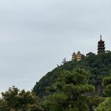 优秀小土匪头像