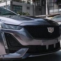 卖罐头的鱼头像