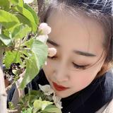子涵晶管头像