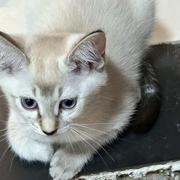 毛毛993的个人资料头像