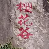 A🍀李国公头像