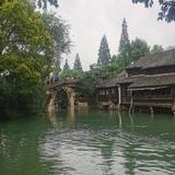 晨曦晨曦321头像