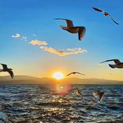 Hewson的个人资料头像