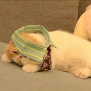 邱山的个人资料头像