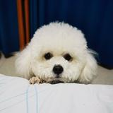 用户1747005113363头像
