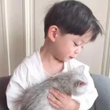 言生有杉头像