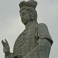 大朗东莞广东头像