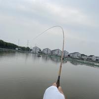 滚烫的方向盘头像