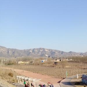 农村的憨憨头像