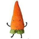 忧伤的胡萝卜的个人资料头像