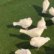 姜维维的个人资料头像