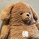D00LL · 奔驰A级车主·车龄2年头像