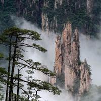 墨颜墨语轩头像