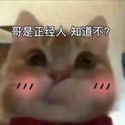 陈皮话梅糖73的个人资料头像