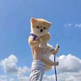 一束光那么长头像