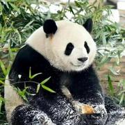 喝茶与编码的个人资料头像