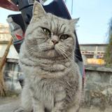 用户1627313766175头像