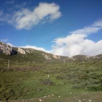 用户3132255610019头像