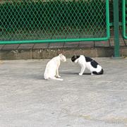 你的口红掉啦的个人资料头像