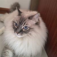 用户1730650635857头像