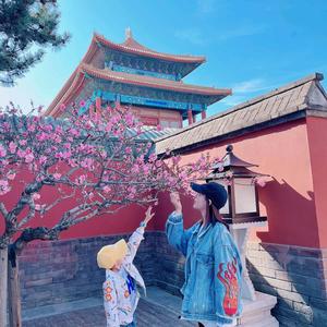 中船汉光悦府张磊头像