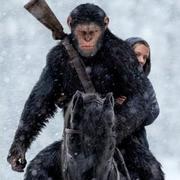 大鲨鱼346的个人资料头像