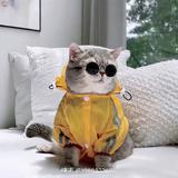 源於熱愛ᯤ⁶ᴳ头像