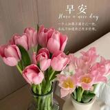 前程似锦39461头像