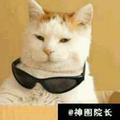 王小二8475头像