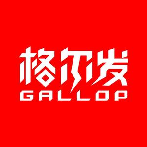 江淮格尔发赵泉头像