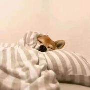 LXY952的个人资料头像