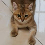 醉了时光的个人资料头像