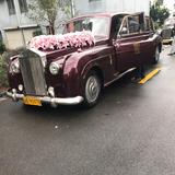 小点点4786头像
