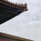No95607头像
