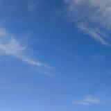 才思敏捷雪碧9x4头像