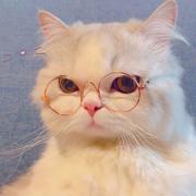 用户63758006428的个人资料头像