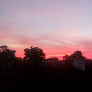 最好的语言js的个人资料头像