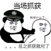 资深理论型老司机头像