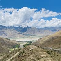 皮卡丘的小P头像