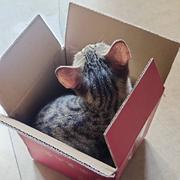 用户7700970960613的个人资料头像