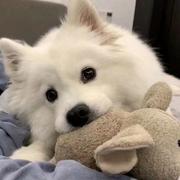 Vey的个人资料头像