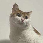 MMR的个人资料头像